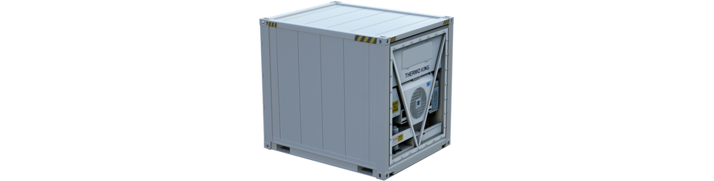 Contenitori refrigerati da 10 piedi