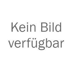 Gebrauchter 20 Fuß Standardcontainer (Klasse A)