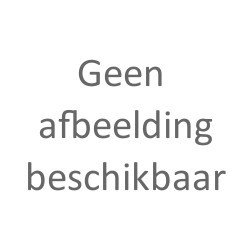 Gebruikte 20 voet standaard container (Klasse A)